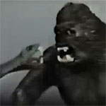 kingkongmegomodel kingkongmegomodel