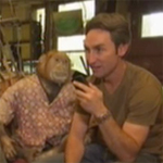 americanpickers_stuffedmonkey americanpickers_stuffedmonkey
