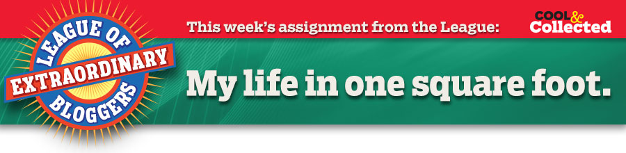 This week’s assignment from the League: My life in one square foot